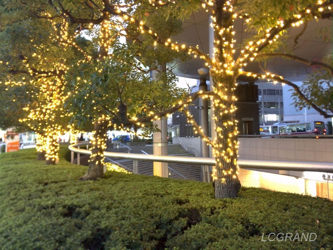 用賀駅の側道にある木々にもイルミネーションが飾られています。