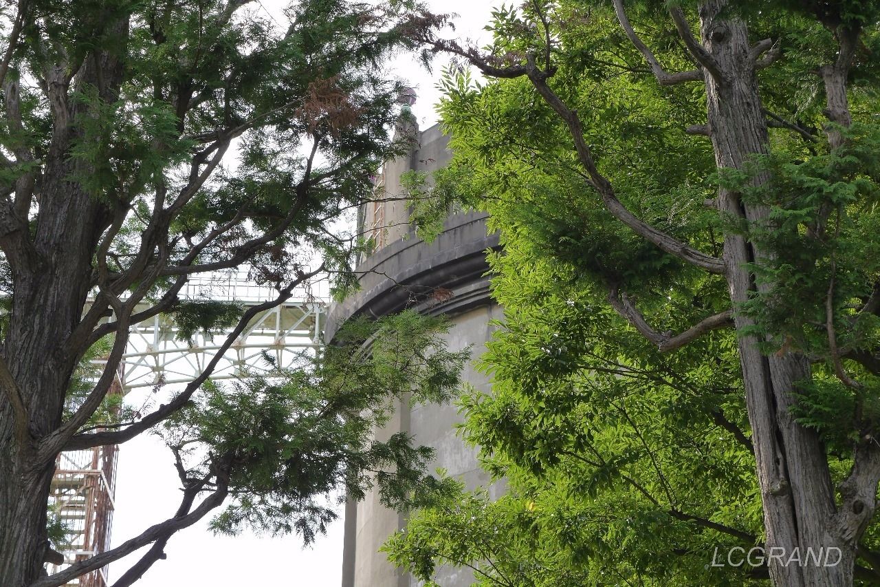 木々に囲まれる駒沢給水塔の風景